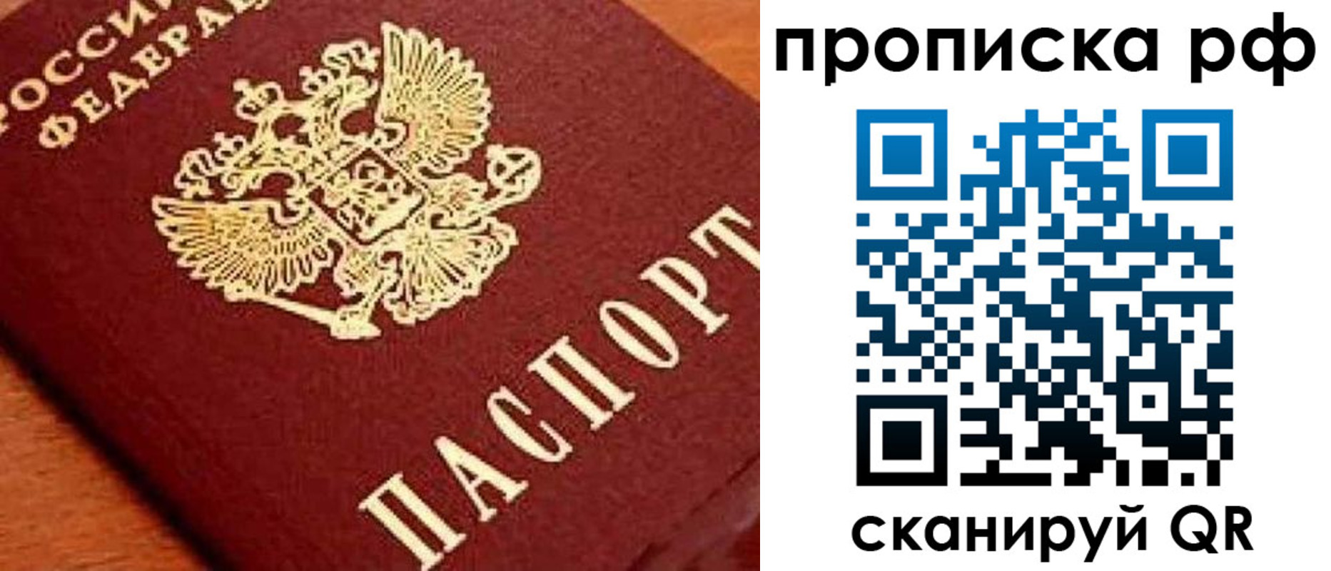 прописка законно в Новоузенске